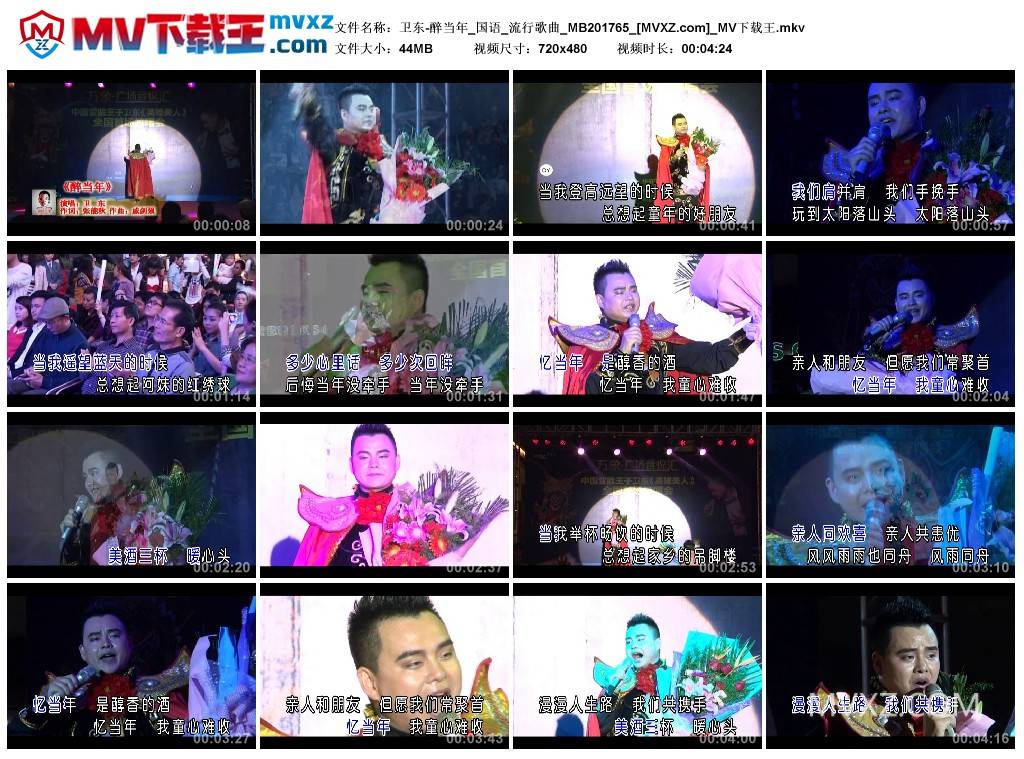 卫东-醉当年_国语_流行歌曲_MB201765